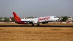 SpiceJet to operate flights to US, share price up 2%