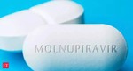 Natco Pharma plans to launch Molnupiravir capsules this week for treatment of COVID-19