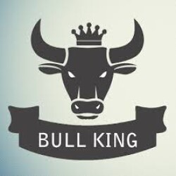 Bull King-display-image