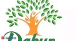 Buy Dabur, target price Rs 605:  Motilal Oswal
