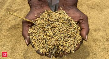 India likely to curb some rice exports in risk to global supply