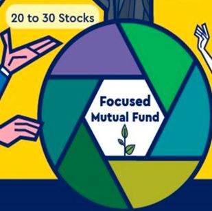 2010 to 2020 - Focused Mutual Funds Yearly Performance