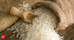 India’s exports of basmati rice to Belgium and Netherlands soar