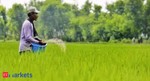 National Fertilizers posts loss of Rs 10 cr in Q4