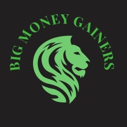 Big Money Gainers-display-image