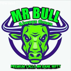 Mr Bull-display-image