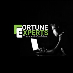 Fortune Experts-display-image