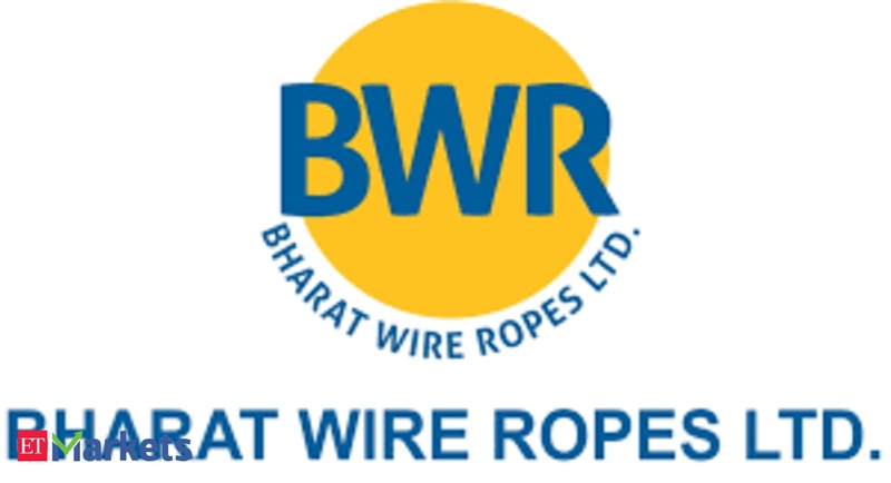 Bharat Wire looks to buy CCPS issued in 2021 rejig