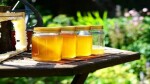 Adulterated honey controversy: This is what brand experts say
