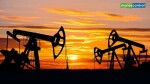OIL net drops 11% on lower oil prices