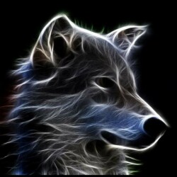 wolf trader -display-image