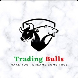 Trading Bulls-display-image