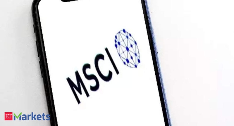 MSCI ESG raters flag governance risks at embattled Adani Group