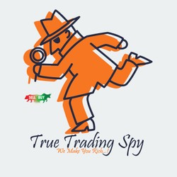 True Trading Spy-display-image