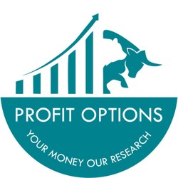 Profit Options-display-image