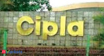 Brokerages raise targets on Cipla