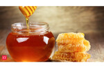 We stand by honey adulteration report: Centre for Science and Environment