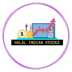 Halal Indian Stocks-display-image