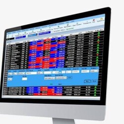 Nifty Traders-display-image
