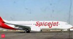 SpiceJet plane from Belgavi suffers bird hit; lands safely at Delhi airport