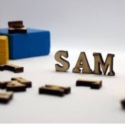 Sam Sir-display-image