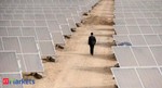 Market Movers: How a solar panel maker may gain at China's expense