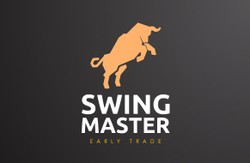 Swing Master-display-image