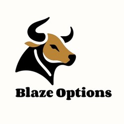 Blaze Options-display-image