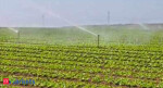 Lenders set to clear recast plan for Jain Irrigation