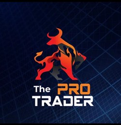 Pro Trader-display-image