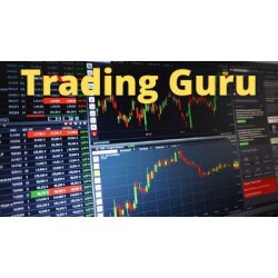 Trading Guru-display-image