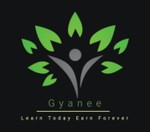 Gyanee's Investment Idea in Solar and Electric Vehicle Segment