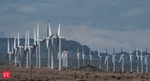 Wheels India mulls Rs 100 crore capex this year for wind energy segment
