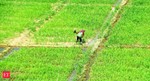 Disruptive business models are stimulating agriculture: Report