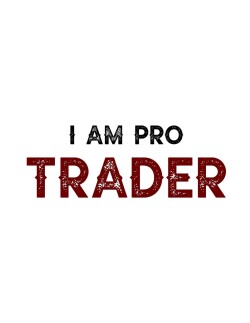 Vidhi Pro Trader -display-image