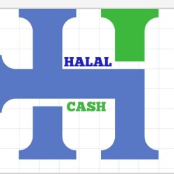 Halal Investment-display-image