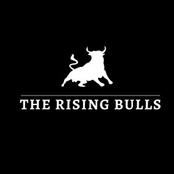 The Rising Bulls-display-image