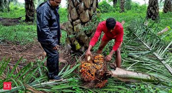 Godrej Agrovet signs MoUs with NE states for oil palm cultivation