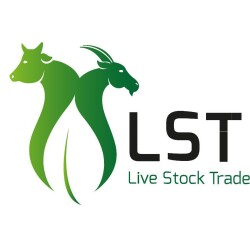 Live Stock Trade-display-image