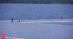 SJVN, DVC to harness 2000 MW floating solar energy projects