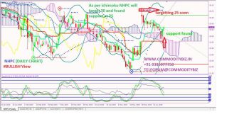 NHPC - chart - 232775