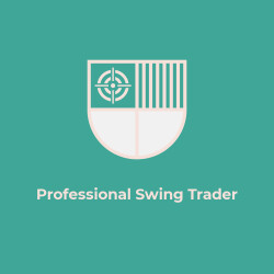 Professional Swing Trader-display-image