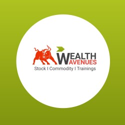 Wealth Avenues-display-image