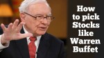 How to Pick Stock Like Warren Buffet in Hindi?