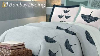 Bombay Dyeing spikes as fundraising via rights issue coming up for board discussion this week